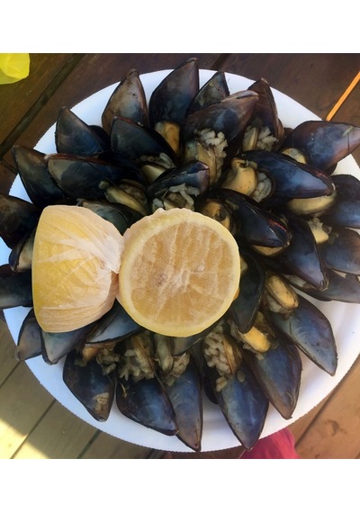 Limon Bonesi 500 Adet Bitki Çayı Bonesi N1123308 Çok Renkli