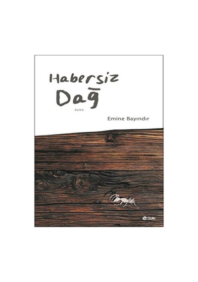 Habersiz Dağ - Emine Bayındır - Şule Yayınları