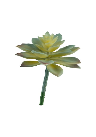 Yapay Mini Etli Echeveria Sukulent Açık Yeşil 12 Cm-10916