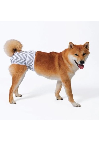 M-pets Dişi Köpekler İçin Yıkanabilir Külot M