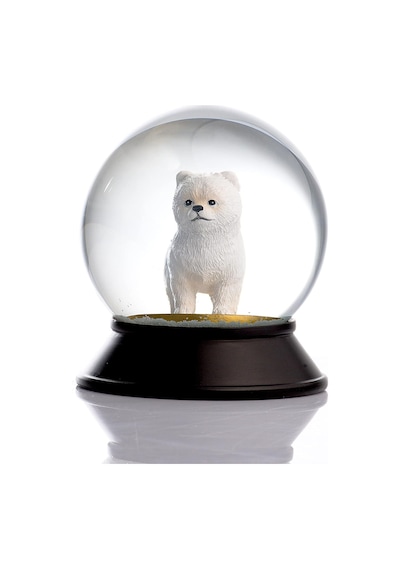 Ve Reçine Altın Patiler Köpek Pomeranian Boo Beyaz Kar Küresi Hediye Genel