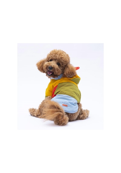 Vivid Kauai Köpek Mont Köpek Yağmurluk Köpek Kıyafeti Köpek Elbisesi