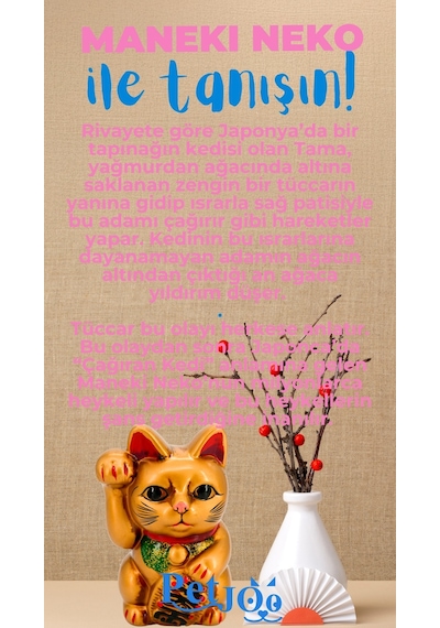 Petjoo 4.Maneki Neko Mavi-Pembe Qr'lı Kedi Künyesi