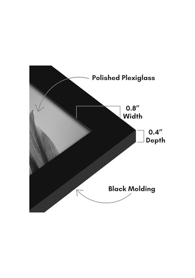 8x12 Picture Frame With Polished Plexiglass - Set Of 12 - Signature Collection - Picture Frames With Engineered Wood - Photo Frame For Tabletop And Wall Display - Black