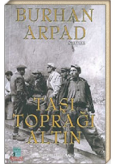 Taşı Toprağı Altın 170554916