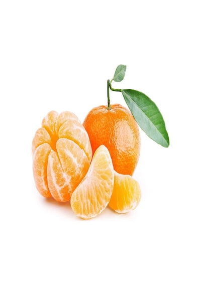 Tüplü Aşılı Meyve   Yüksek Nova Mandalina Fidanı