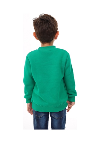 Toontoy Kids Toontoy Erkek Çocuk Nakışlı Sweatshirt Çimen Yeşili