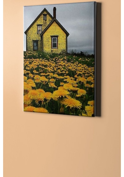 Webstyle Sayılarla Boyama Seti Kasnaklı Karahindiba Bahçesi 50 X 65 Cm