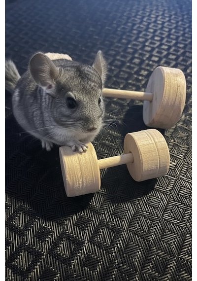 Kiln Kurutulmuş Çam Dumbbell Çiğneme Oyuncağı Küçük Evcil Hayvanlar İçin 2 Li Set