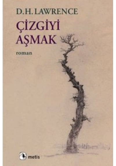 Çizgiyi Aşmak - D. H. Lawrence - Metis Yayınları
