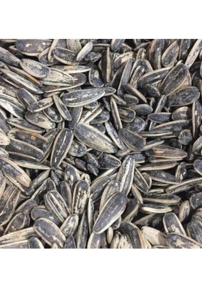 Ay Çekirdeği Tuzlu XL 1 KG