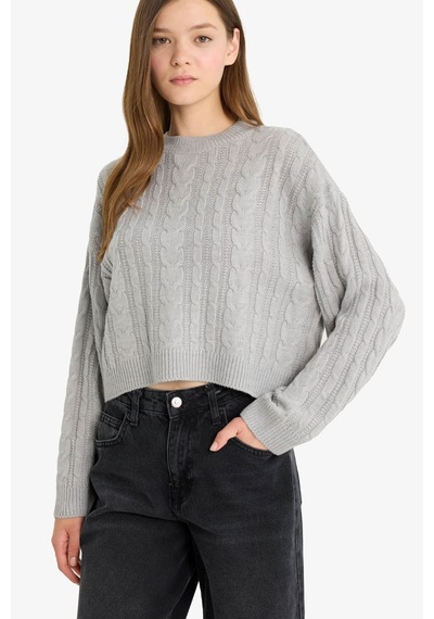 Defacto Coool Regular Fit Bisiklet Yaka Triko Kazak T4518az25wngr210 Gri Defacto Coool Regular Fit Bisiklet Yaka Triko Kazak T4518az25wngr210 Gri