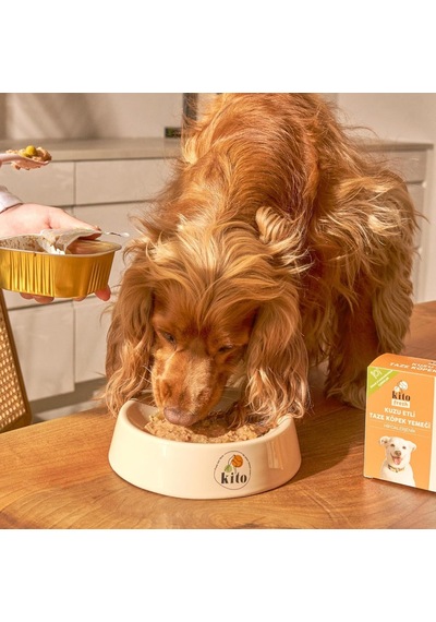 Kito Fresh Kuzu Etli Köpek Yemeği%100 Taze İçerikli Mama 250 Gr