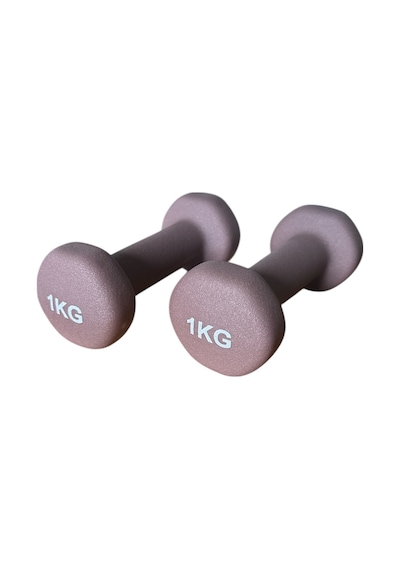Vinly Neoprene Kaplamalı Döküm Demir Dambıl Estetik Soft Pilates Fitness Ağırlığı 2 Adet X 1 Kg