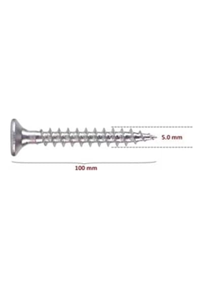 Sunta Vidası (Pz2) 5X100 (100 Adet)