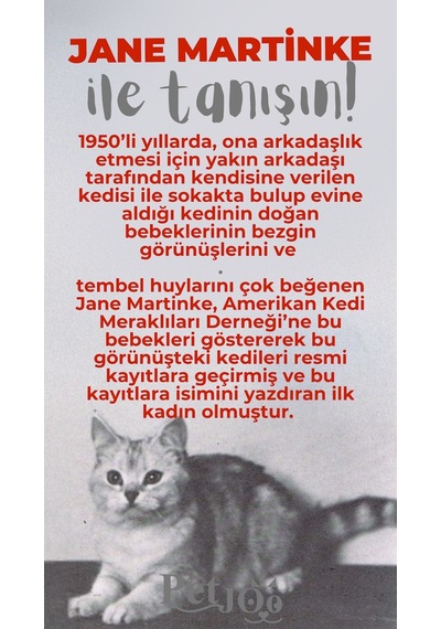Petjoo 5.Jane Martinke Gri-Kırmızı Qr'lı Kedi Künyesi