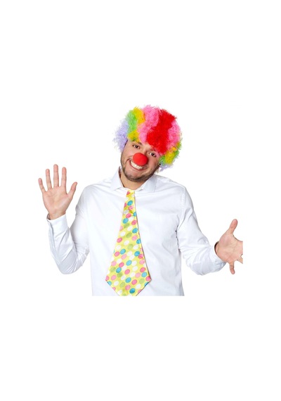 Rengarenk Kıvırcık Afro Bonus Peruk Ve Kırmızı Burun Seti