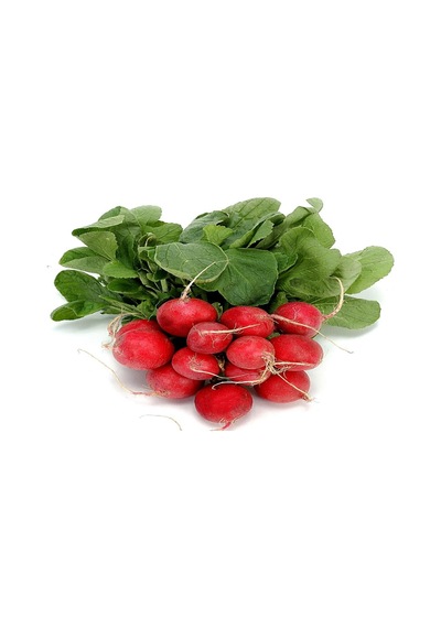 Fındık Turp 10 Gr Bt