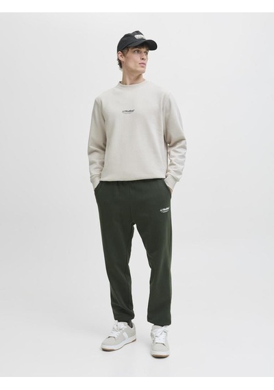 Jack & Jones Jjesoho Sweat Crew Neck Noos Bisiklet Yaka Basic Erkek Sweatshirt, Rahat Günlük Model Cok Renklı Jack & Jones Jjesoho Sweat Crew Neck Noos Bisiklet Yaka Basic Erkek Sweatshirt, Rahat Günlük Model Cok Renklı