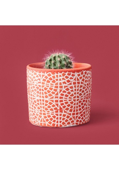 Objevii Mozaik Desen Beton Saksı - Turuncu - 10x13 Cm Renkli