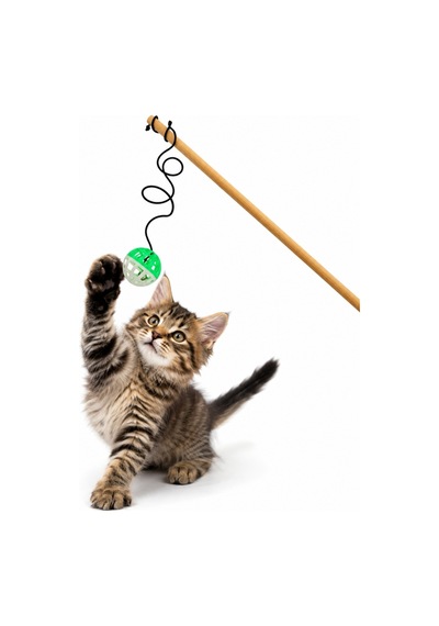 Kedi Oltası - Dawcat - Plastik Toplu - Beyaz/yeşil