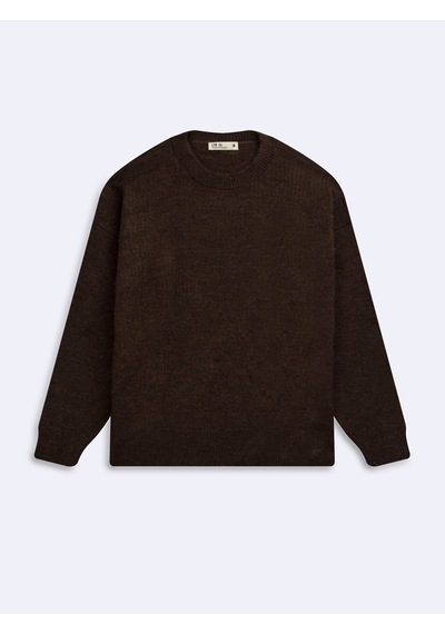LTB Regular Fit Bisiklet Yaka Triko Kahverengi Kazak