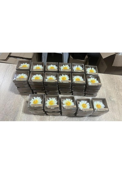 Bernami Mum Pinterest 15 Adet Kraft Kutulu Papatya Mum Hediyelik, Nişan, Düğün, Sünnet, Söz, Kına, Doğum Günü Diğer