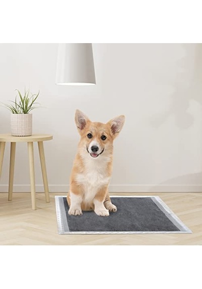 Record Çiş Pedi Karbonlu 60cmx60cm 40 Lı Paket