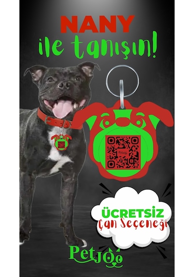 Petjoo 17.Nany Yeşil-Kırmızı Qr'lı Köpek Künyesi