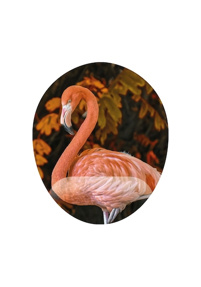 Flamingo Dış Çekim - Tasarım Baskılı Mouse Pad Bileklikli Mousepad