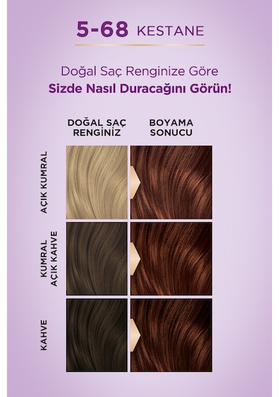 Palette Göz Alıcı Renkler Krem Saç Boyası 5 - 68 Kestane