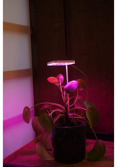 Bitki Led Lamba 5v Usb Tam Spektrumlu Bitki Yetiştirme Lambası 8w Pembe
