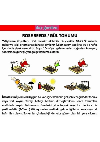 10 Adet Yeşil Gül Tohumu + 10 Adet KLale Tohumu N116053