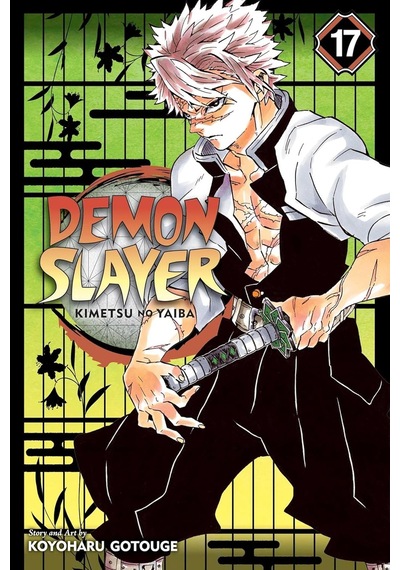 Demon Slayer: Kimetsu No Yaiba, Vol. 17: Volume 17