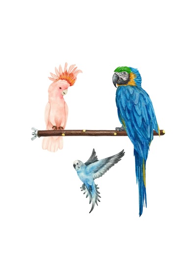 Doğal Dal Kuş Tüneği 22 Cm