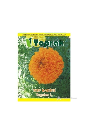Çiçek Tohumu Top Kadife