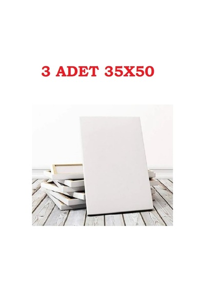 3 Adet Tuval 35x50
