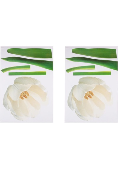 Duvar Süsü Sticker 2 Adet Çiçekli Şeffaf Filmli Pvc 70x50x0,5cm