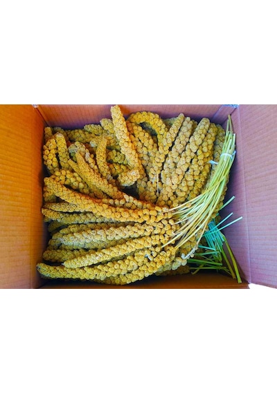 Doğal Dal Darı Sarı 250 Gr ithal Yeni̇ Mahsül