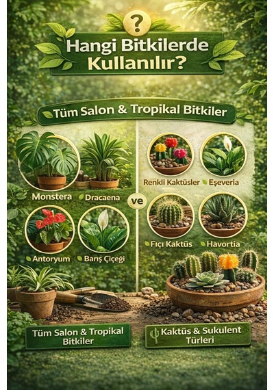 Bitki Ve Kaktüs Toprağı Seti 10 L Organik Cocopeatli Salon Bitkileri Ve Kaktüsler İçin Diğer