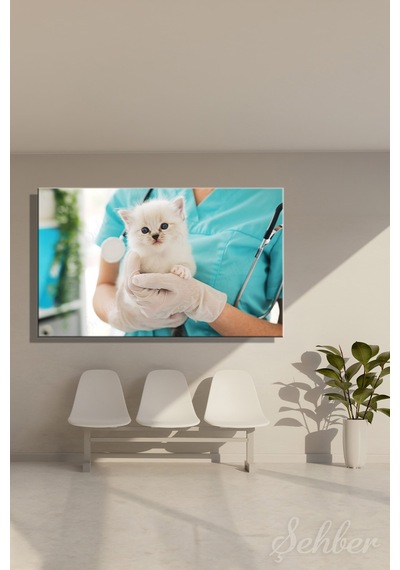 Veteriner Kliniğinde Sevimli Mavi Gözlü Bir Yavru Kedi Yatay Kanvas Tablo 4061 Çok Renkli