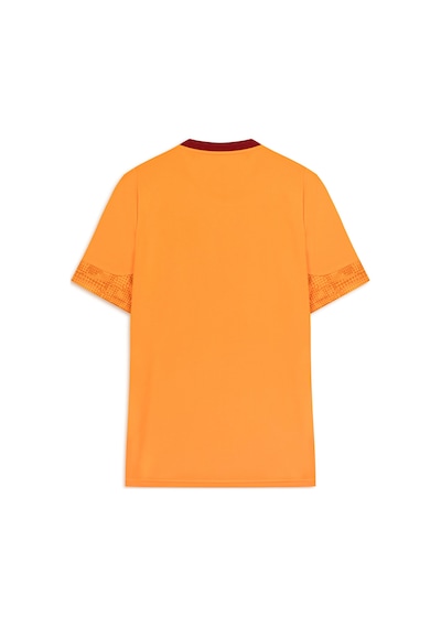 Puma Galatasaray Erkek Kısa Kollu Antrenman Forması 782884 06 Turuncu
