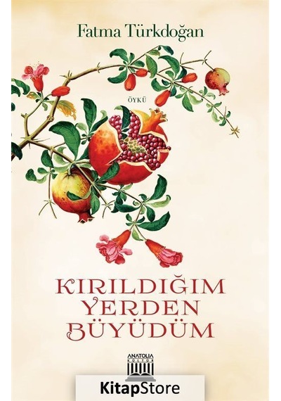 Kırıldığım Yerden Büyüdüm - Fatma Türkdoğan - Anatolia Kültür