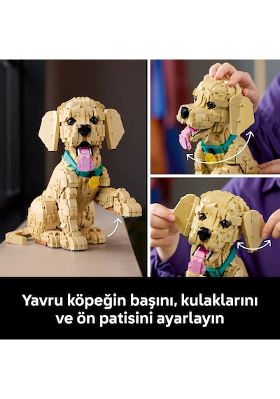 LEGO® Icons Yavru Golden Retriever 11384 - Yetişkinler için Dekoratif Hayvan Figürü Yapım Seti (2102 Parça)