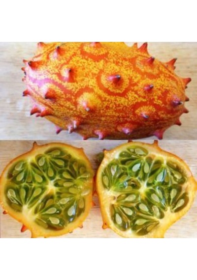 Ithal Tropikal Kiwano Tohumu Ekim Seti