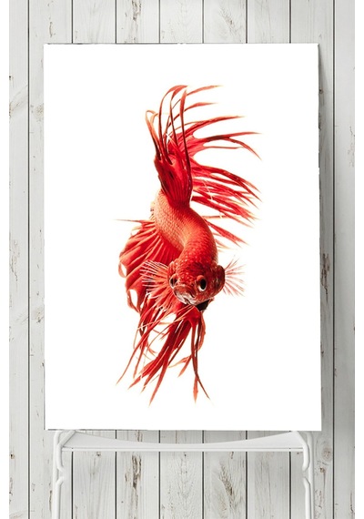 Sanatsal Balık Hayvan Posteri 4