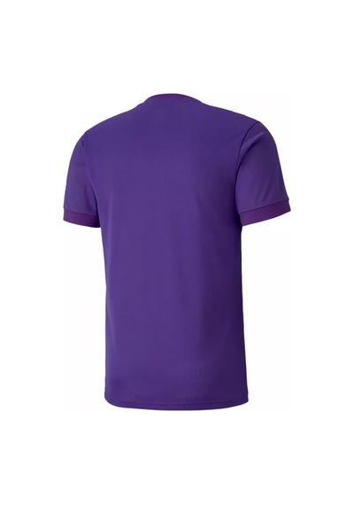 Puma Teamgoal 23 Jersey Erkek Futbol Forması 70417110 Mor