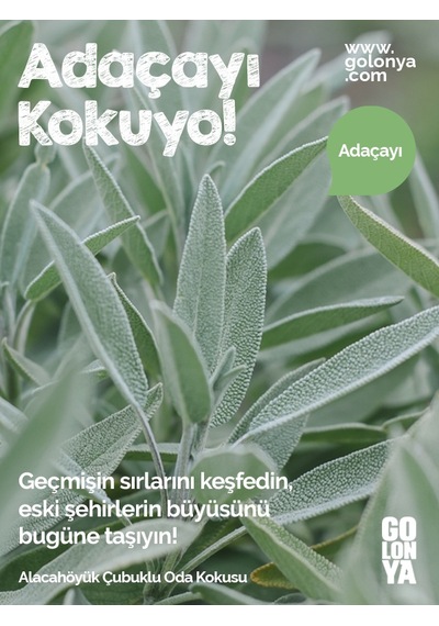 Golonya Alacahöyük Çubuklu Oda Kokusu 120 ML
