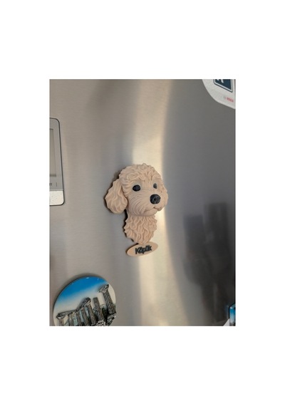Kişiye Özel Toy Poodle Köpek Magneti Köpeğinizin İsmi Yazılı Dekoratif Buzdolabı Magneti Sevimli Köpek Figürü