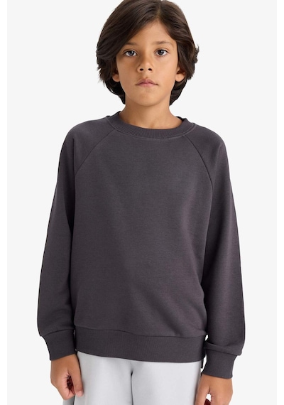 Defacto Erkek Çocuk Regular Fit Bisiklet Yaka Sweatshirt E8415a825auar138 Antrasit